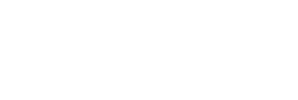 The Delfino Team logo